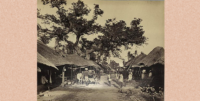 Unidentified village in India - DPLA - 8c9672bf53e9511aa9dd943d4075c3f6.jpg- Wikimedia Commons